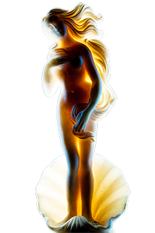 Endopeel gynecology workshop artistic hero image