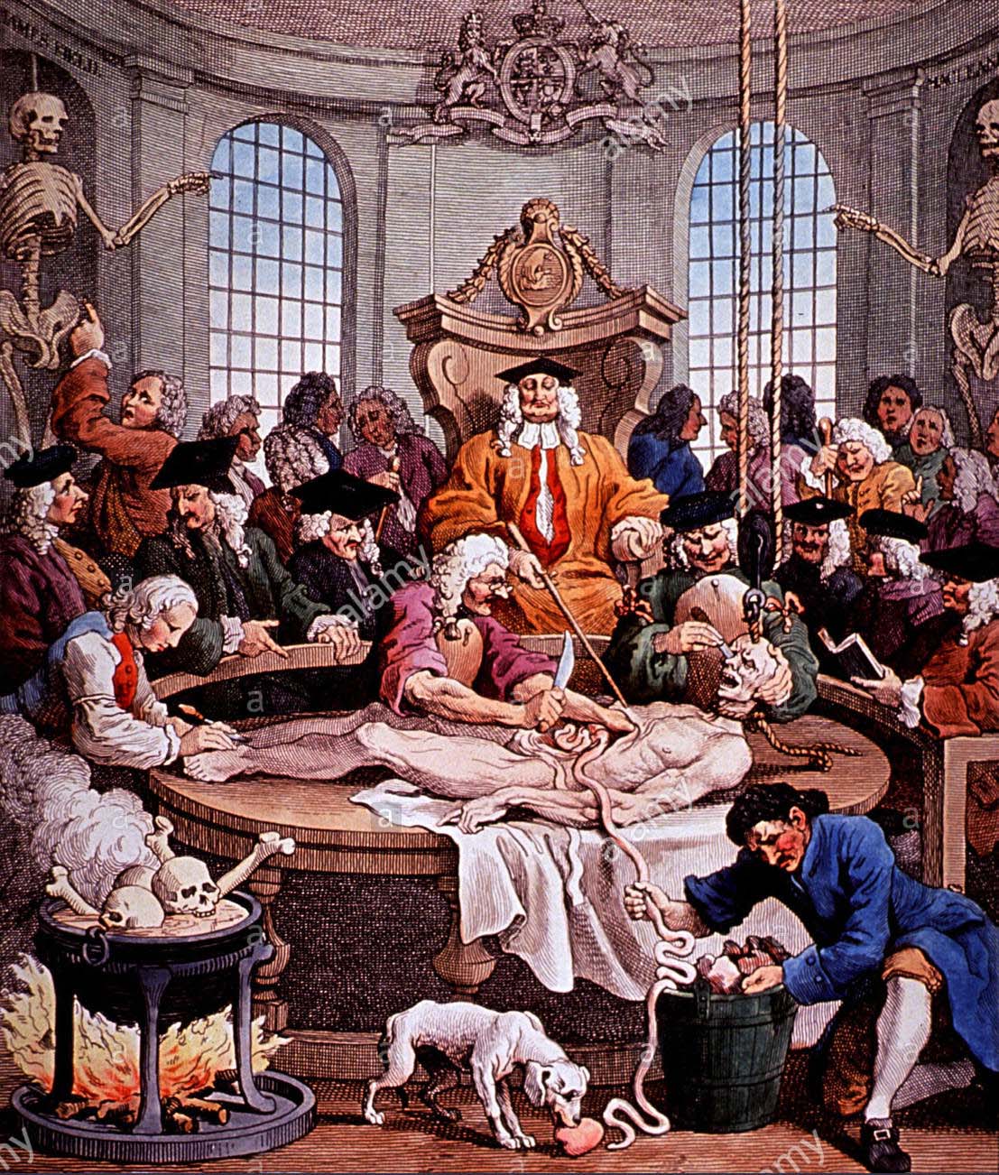 18th century anatomical theatre illustrating historical cadaver dissection used to study human anatomy