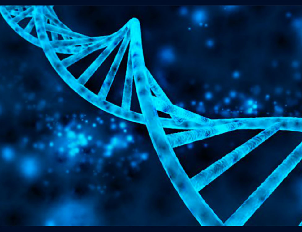 Molecular Biology