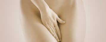vagino vulvar embellishment